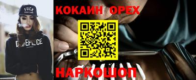 гидропоника Камышлов