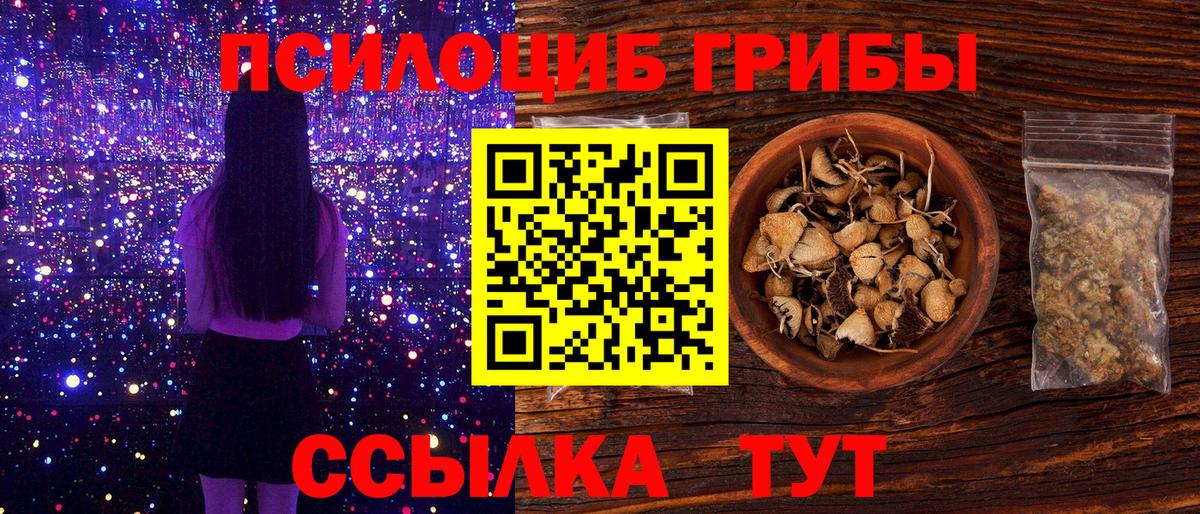 Псилоцибиновые грибы прущие грибы  Вход с VPN  Псилоцибиновые грибы MAGIC MUSHROOMS  Королёв 