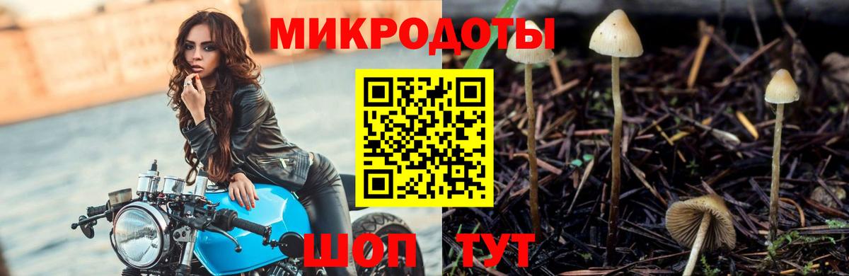 Псилоцибиновые грибы прущие грибы Королёв